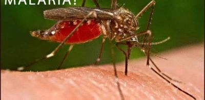 Waspadai Malaria di Tengah Pandemi Covid 19